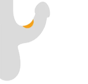 Dorsale Verkrümmung des Penis (Seitenansicht)